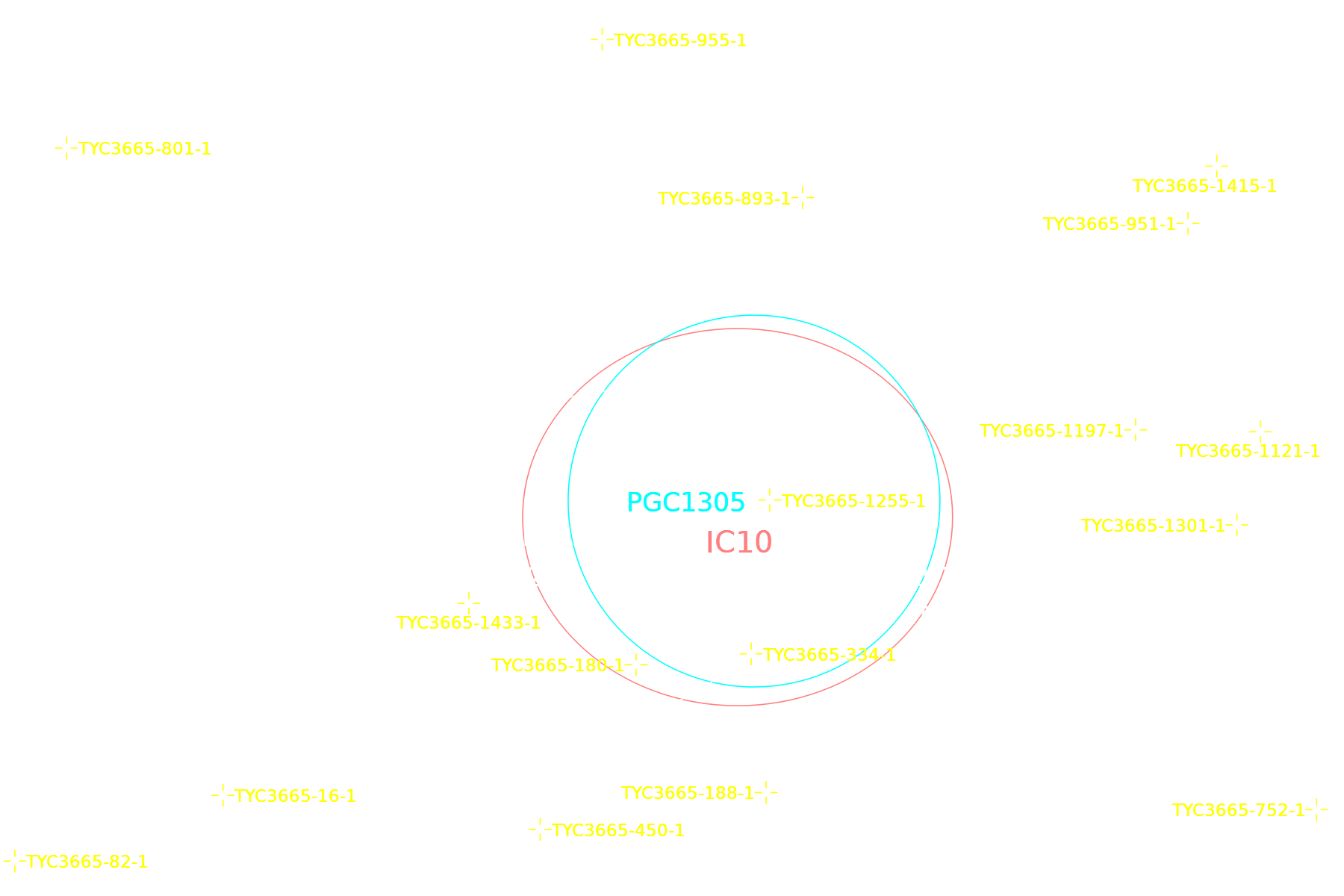IC 10 annotated