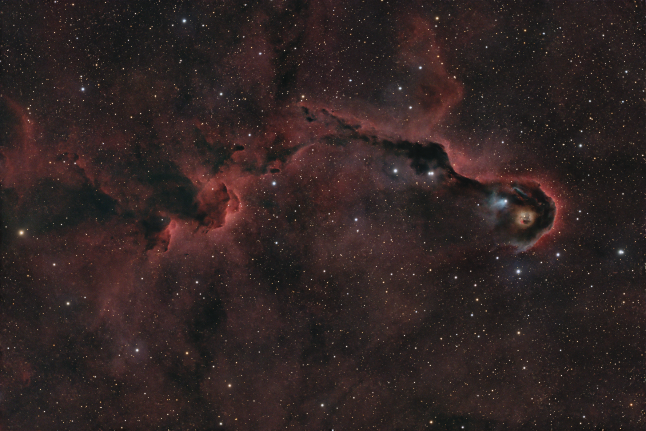 IC 1396 in Cepheus, the Elephant Trunk Nebula