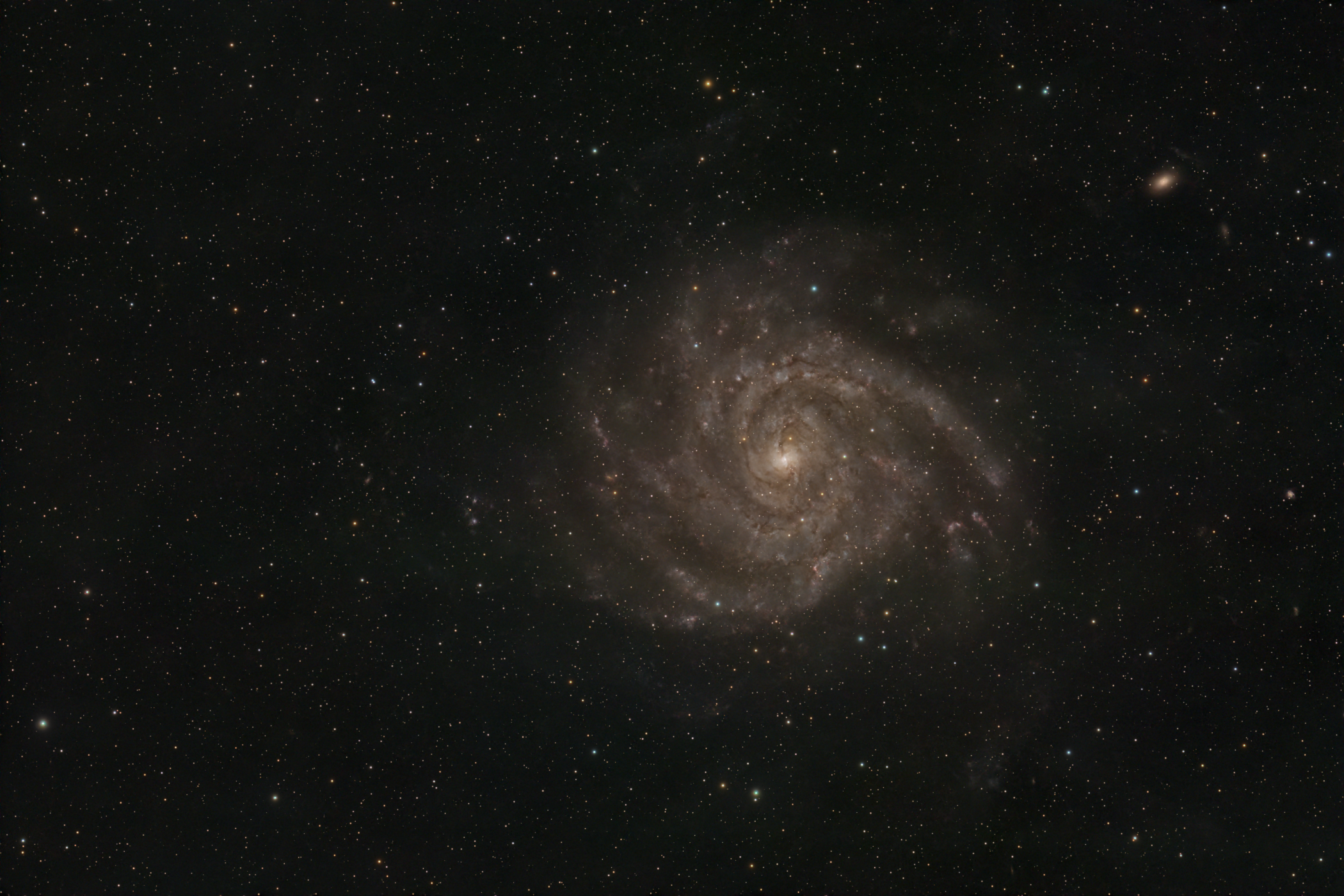 IC 342