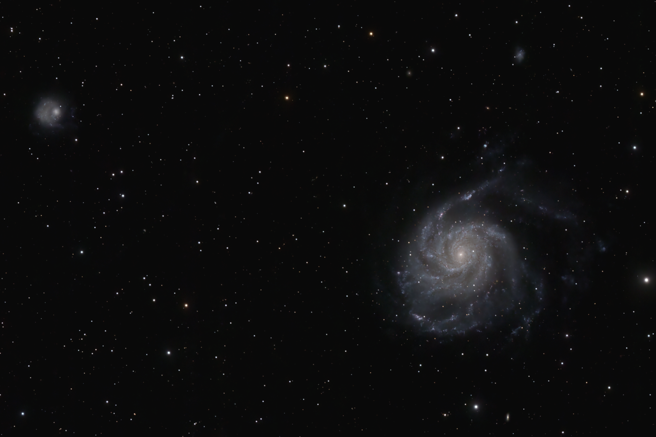 M101