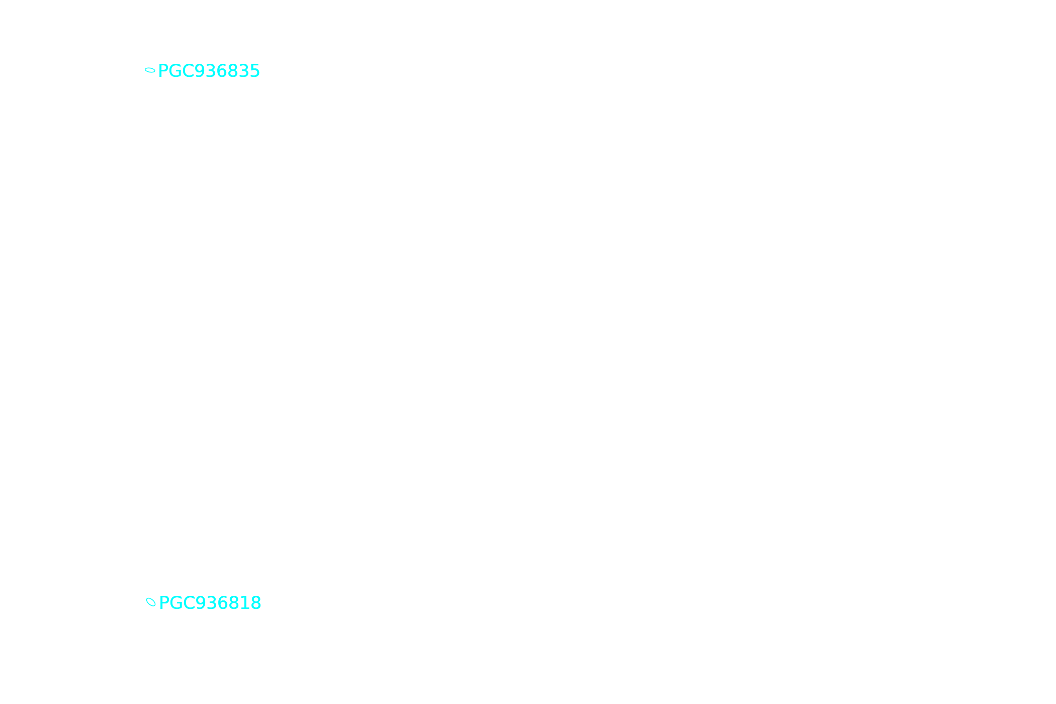 LBN 86