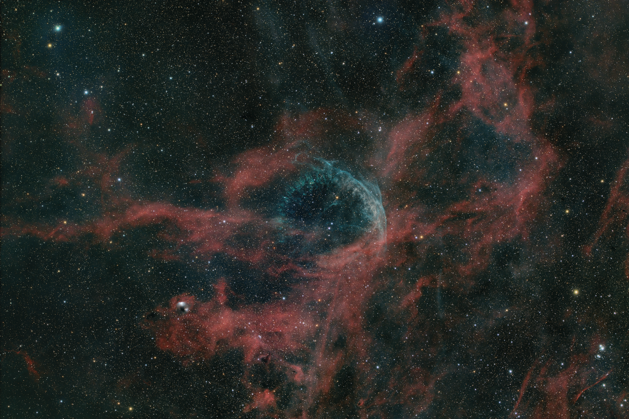 WR 134 in Cygnus
